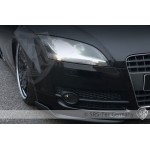 Εμπρόσθια φουσκωμένα φτερά GT της SRS-Tec για Audi TT (8J) Εμπρόσθια φουσκωμένα φτερά GT της SRS-Tec για Audi TT (8J)